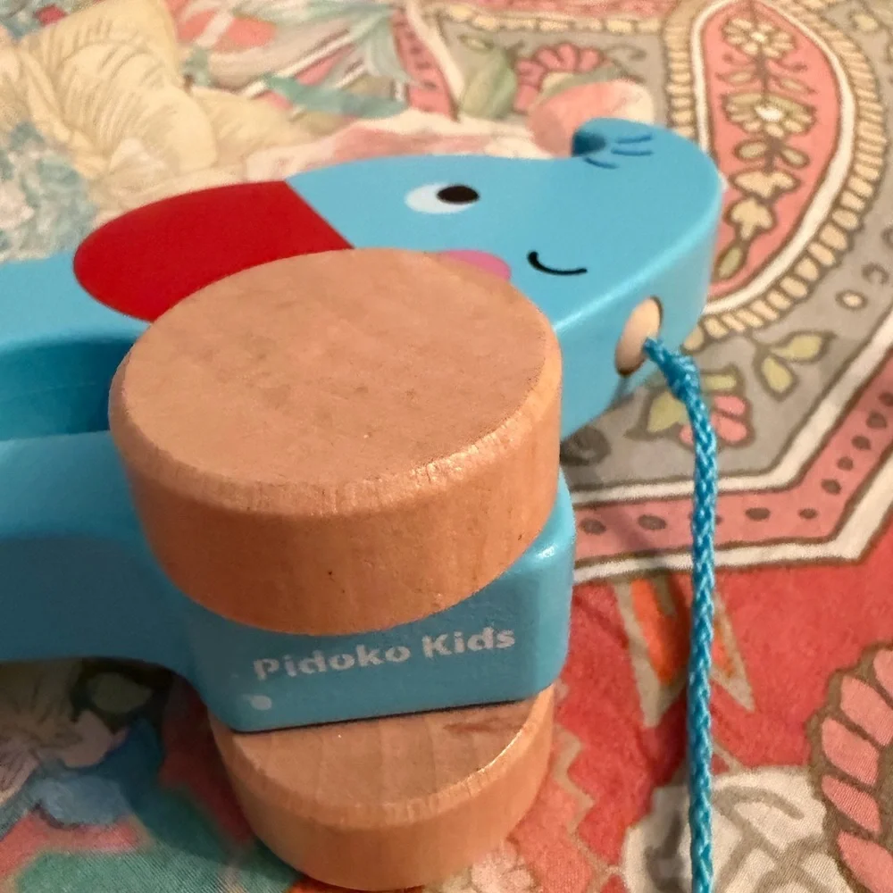 Colorful Wooden Animal Pull/ push Set giraffe, alligator, elephant, and bird